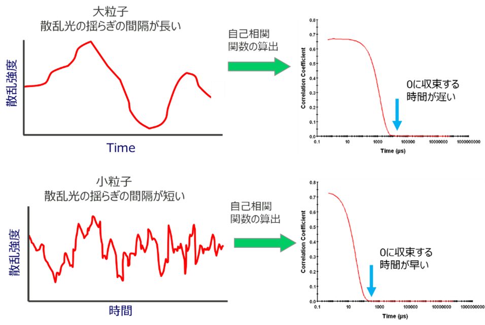 DLS (Dynamic Light Scattering) - 動的光散乱法の原理と分析装置